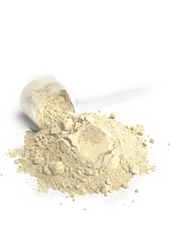 Performance Whey Protein Blend (Vanilla)