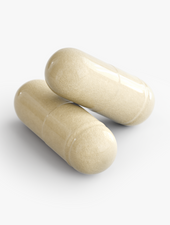 Gut Health