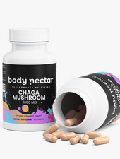 Chaga Mushroom