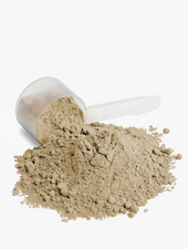 Plant Protein (Vanilla)